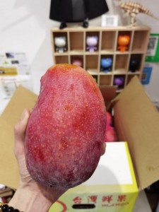 台灣玉文芒果 6-10個裝