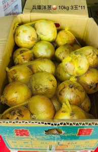 兵庫洋葱  3玉*10?