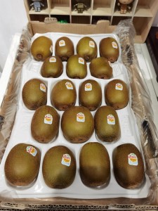 紐西蘭珍寶金奇異果