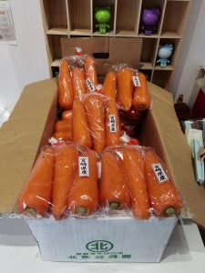 和歌山人参 (紅蘿蔔) 2本*18