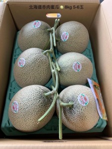 北海道赤肉蜜瓜 5-6玉