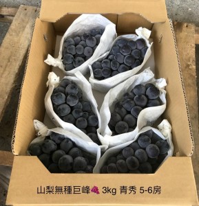 山梨無種巨峰  5-6房