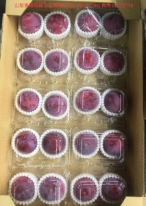 山梨貴陽布冧  2玉*10