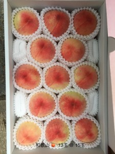 和歌山桃 12-13玉